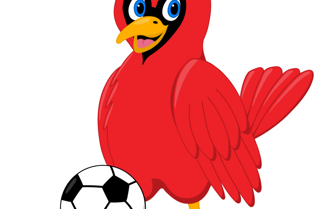 caledon cardinals recreational soccer